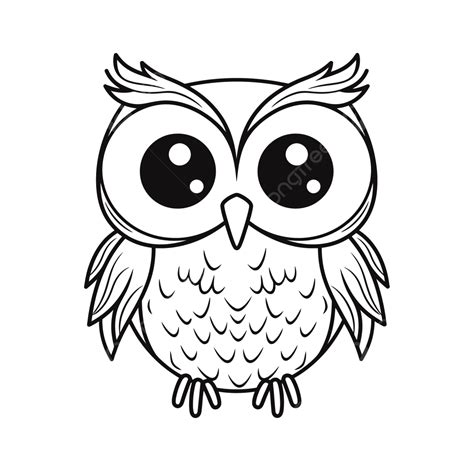 Cute Owl Coloring Pages Outline Sketch Drawing Vector Colorful Owl