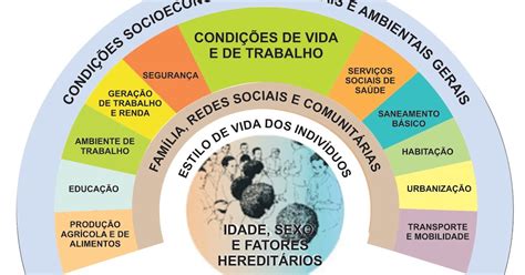 Determinantes E Condicionantes Da Saúde