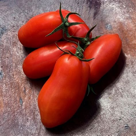 7 Large Roma Tomato Varieties You Can Grow In India • India Gardening