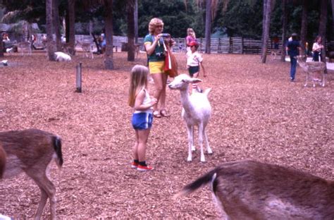 Florida Memory • Visitors In The Petting Zoo At The Silver Springs