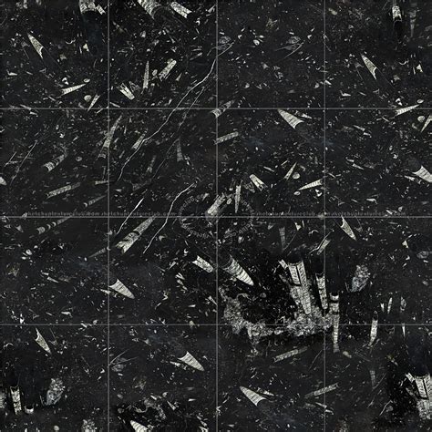 Fossil Black Marble Tile Texture Seamless 14134