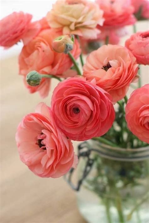 Flowers that never die gift. Top 10 Unique Wedding Flowers That Never Die