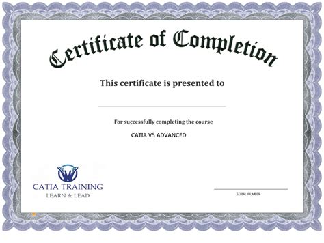 13 Certificate Of Completion Templates Excel Pdf Formats