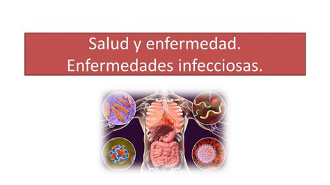 Salud Y Enfermedad Enfermedades Infecciosas YouTube