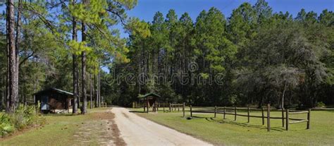 The Picnic Site At Lake Talquin State Park And Forest With Tall