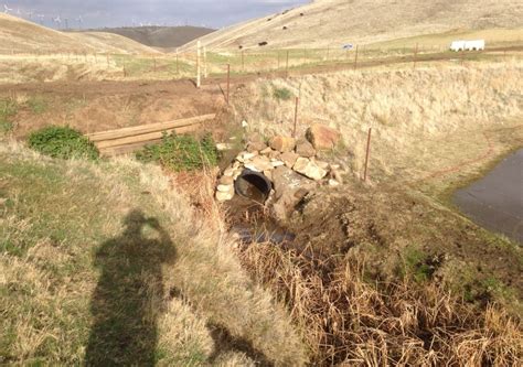 Small Culverts Bite — Zentner Planning And Ecology