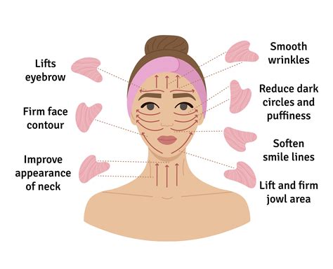 How To Do Gua Sha Massage Infographic Facial Massage Direction Scheme Portrait Of Young White
