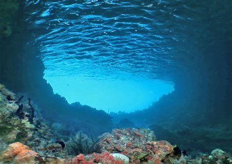 Underwater HD Images 03772 - Baltana