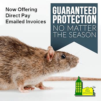 Apr 24, 2018 · green & healthy lawn free of pests. Areas Served - Pest, Rodent, and Wildlife Control - All Pest Solutions - (972) 442-1169