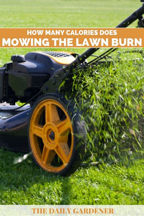 The flour is added to the melted fat or oil on the stove top, blended until smooth, and cooked to the desired level of brownness. How many calories does mowing the lawn burn - MISHKANET.COM