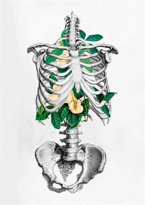 Notes On Ms3 Human Anatomy Art Science Art Drawings Anatomy Art