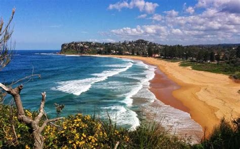 Newport Beach New South Wales Australia World Beach Guide