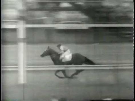 Kentucky derby winner medina spirit was allegedly juiced up when he won the race, because he apparently protesters arrested during kentucky derby over breonna taylor killing. 1954 Kentucky Derby Winner, Determine - YouTube