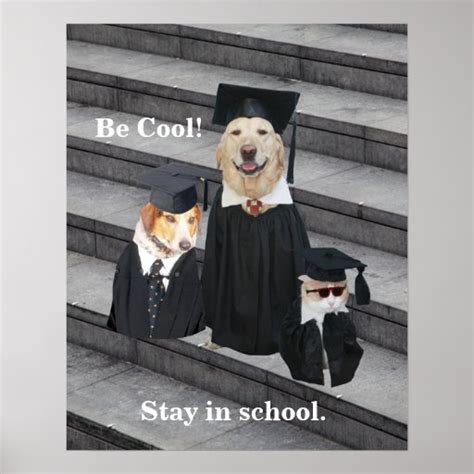 Be Cool Stay In School Poster Zazzle