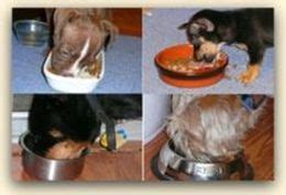 Dog Food Labels, Dog Food Ingredients and AAFCO Statements ...