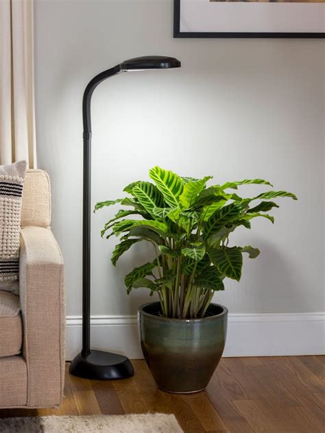 Floor Plant Lamp Full Specrum Cfl Grow Light Free Shipping Indoor
