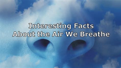 Chemical Makeup Of Air We Breathe Saubhaya Makeup