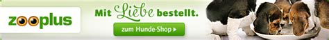 1,353 likes · 2 talking about this. Mit Haustieren eine Wohnung finden: Das sollten Mieter mit ...