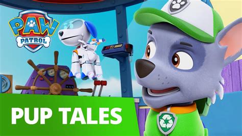 Paw Patrol Pups Save Robo Dog Rescue Episode Paw Patrol Official