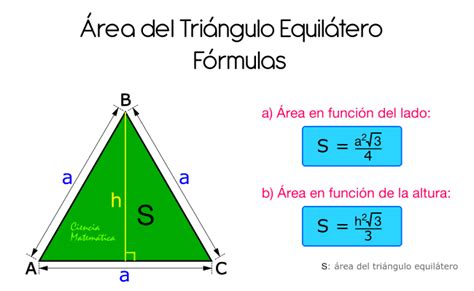 Área De Un Triángulo Rectángulo Cursos Online Web