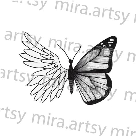 Half Angel Wing Butterfly Drawing Scan Digital Download For Tattoo