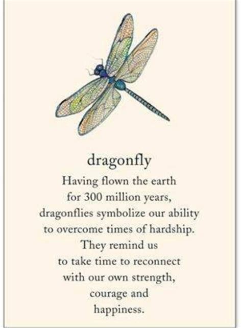 Pin By Marsha Cooper On I Like Dragonfly Quotes Words Inspirational