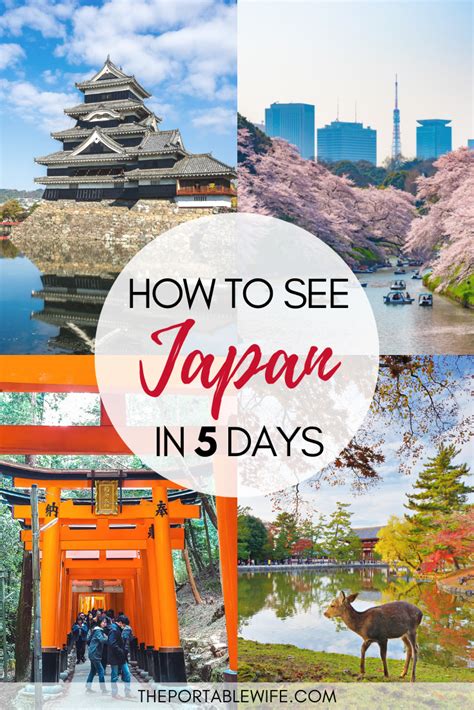 5 Day Japan Itinerary Ideas To Suit Any Travel Style Japan Itinerary
