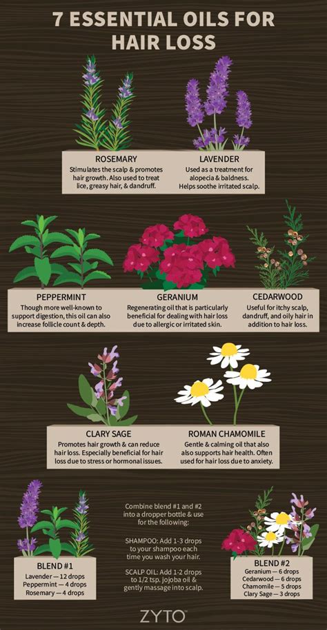 Of a carrier oil like olive or jojoba oil. Essential Oils for Hair Loss - Learn about the Top Oils ...