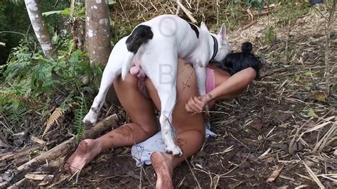 Бразильское порно девушки с бультерьером Dog xxx video 4k