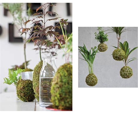 How To Make A Kokedama Ted Lare Design And Build