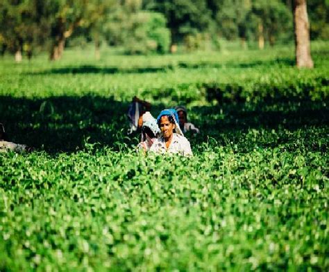 स्कीम आवेदन प्रक्रिया, प्रधानमंत्री किसान सम्मान निधि योजना लिस्ट leave a comment. PM Kisan Samman Nidhi Yojana: Know Who Will Not Get The ...
