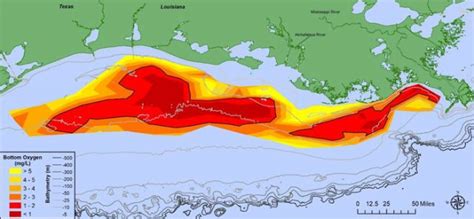 Large 2019 Dead Zone In Gulf Of Mexico Earth Earthsky
