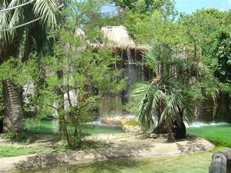 Audubon Zoo - New Orleans Photo (589270) - Fanpop