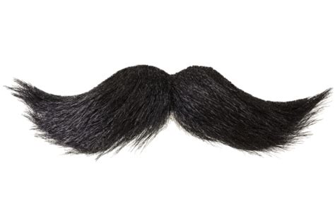 How to grow a handlebar mustache(curly mustache) Curly Moustache Isolated On White Stock Photo - Download ...