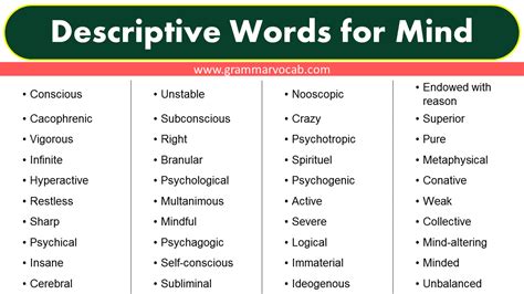 List Of Descriptive Words For Mind Grammarvocab