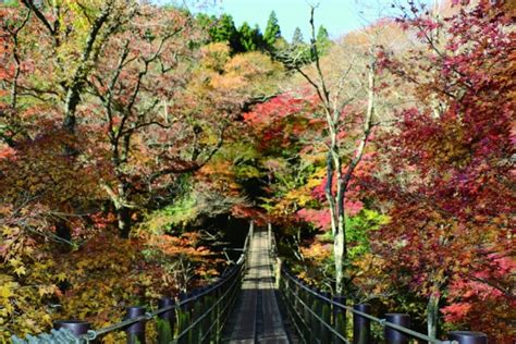 12 Things To Do In Ibaraki In Autumn All About Japan