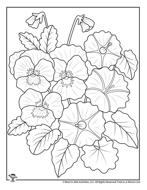 Pansy Flowers Adult Coloring Sheet | Woo! Jr. Kids Activities