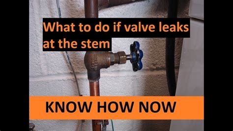 Fix Shut Off Valve Leaking At Stem Repair Home Repairs Valve