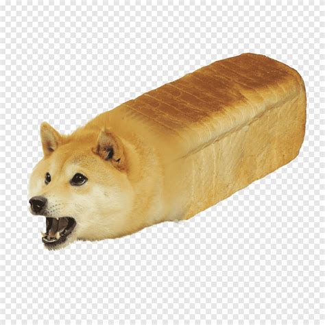 Free Download Shiba Inu Doge Youtube Bread Dog Like Mammal Meme