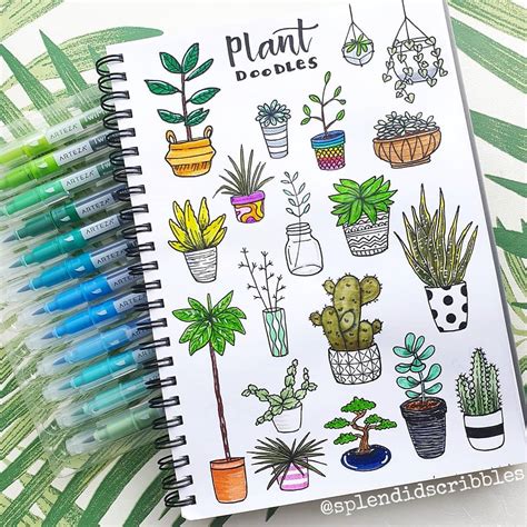 21 Amazing Succulent And Cactus Doodles To Try In Your Bullet Journal