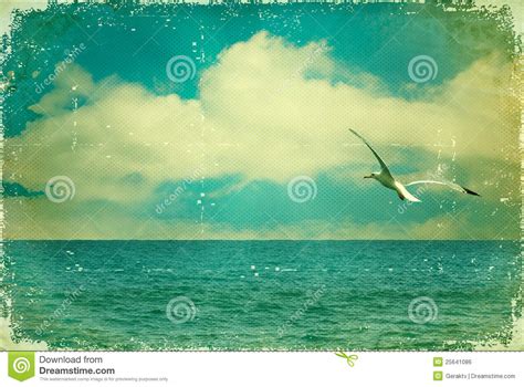Vintage Nature Seascape With Seagull In Blue Sky Stock Photo Image Of