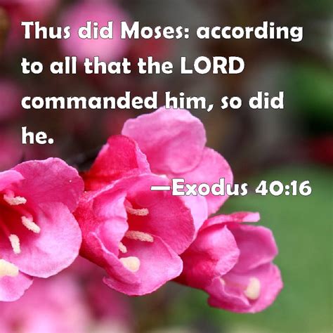 Exodus 4016 Thus Did Moses According To All That The Lord Commanded