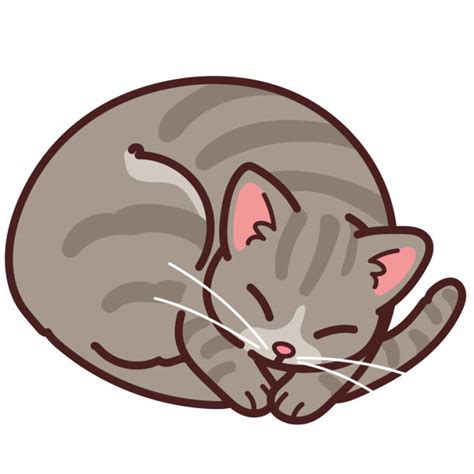 Gray And White Tabby Cat Cartoon Illustrations Royalty Free Vector