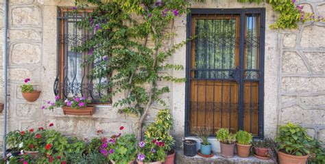 Vendita di piante da interno. 5 piante da appartamento per decorare la tua casa - Blog FloraQueen Italia