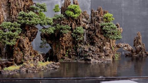 Fir tree in the middle of nature with branches and grass green. Largest Penjing (Bonsai rocks) India - Nature in Miniature ...