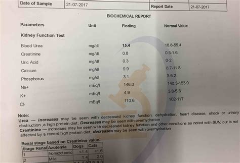 Today I Had Blood Test Of Him Cbc Liver Function Test And Kidney