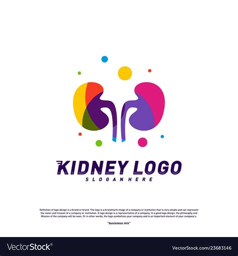 Colorful Kidney Logo Design Concept Urology Logo Vector Image