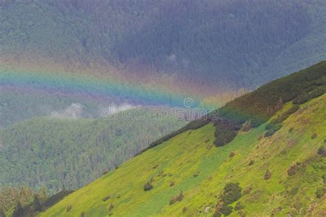 1170 Mountain Landscape Flowers Rainbow Stock Photos Free And Royalty