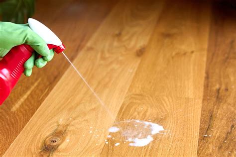 How To Clean Cat Urine Off Wooden Floor Floor Roma