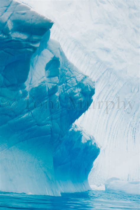 Iceberg Antarctica Tom Murphy Photography
